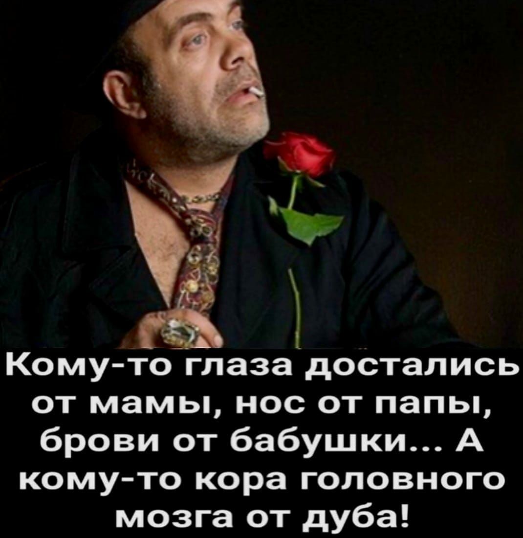Кому-то глаза достались от мамы, нос от папы, брови от бабушки... А кому-то кора головного мозга от дуда!