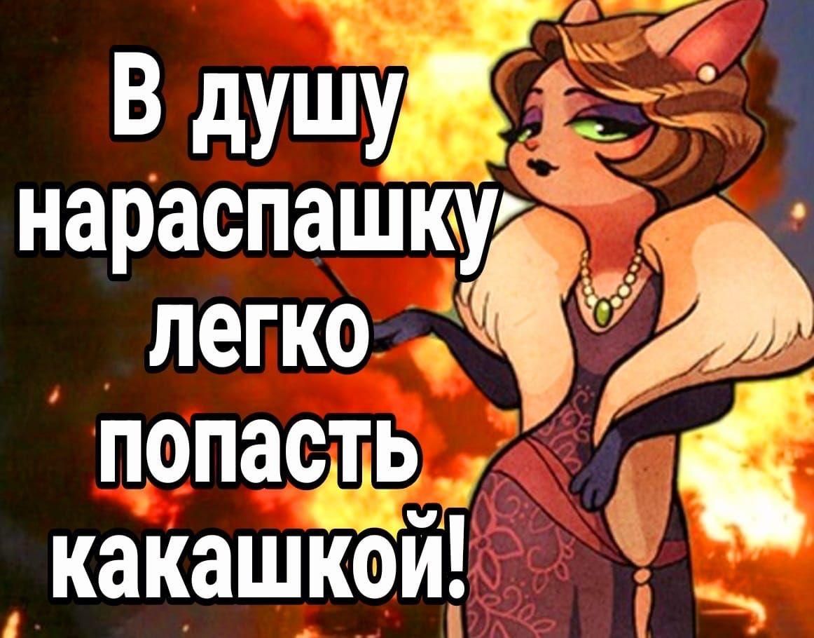В душу нараспашку легко попасть какашкой!