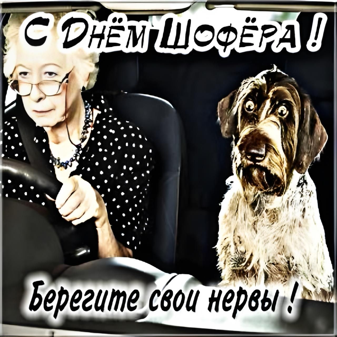С Днём Шофёра!
Берегите свои нервы!