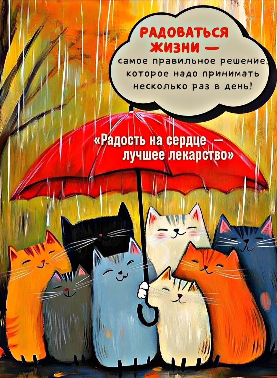 РАДОВАТЬСЯ ЖИЗНИ — самое правильное решение, которое надо принимать несколько раз в день!
«Радость на сердце — лучшее лекарство»