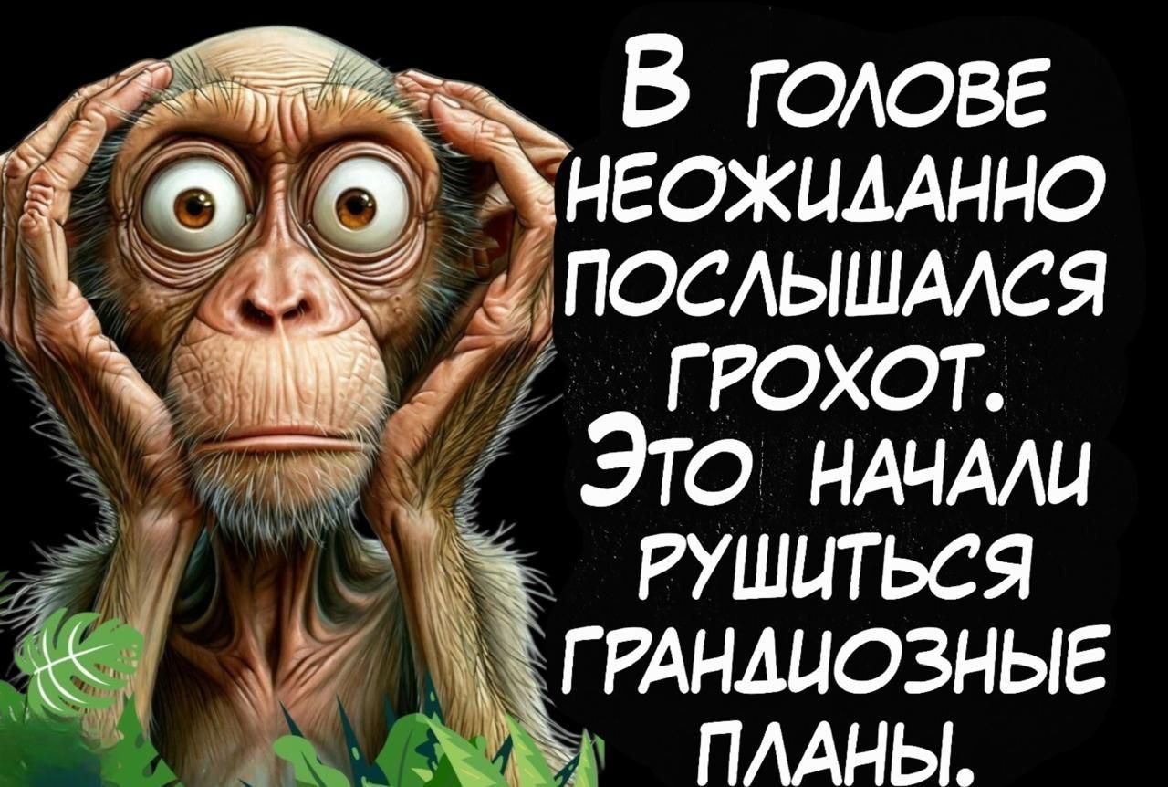 В голове неожиданно послышался грохот. Это начали рушиться грандиозные планы.