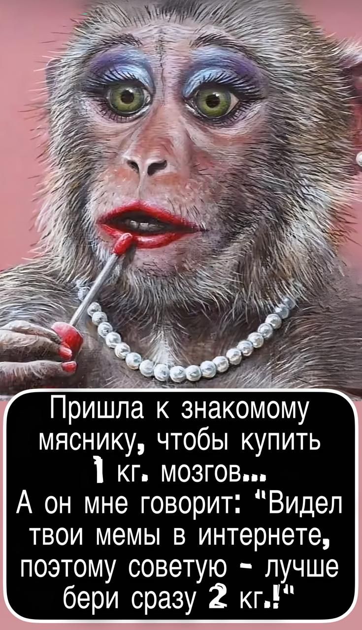 Пришла к знакомому мяснику, чтобы купить 1 кг мозгов... А он мне говорит: «Видел твои мемы в интернете, поэтому советую — лучше бери сразу 2 кг!»
