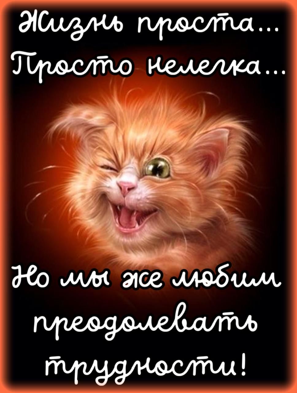 Жизнь проста... Просто нелепа... Но мы же любим преодолевать трудности!