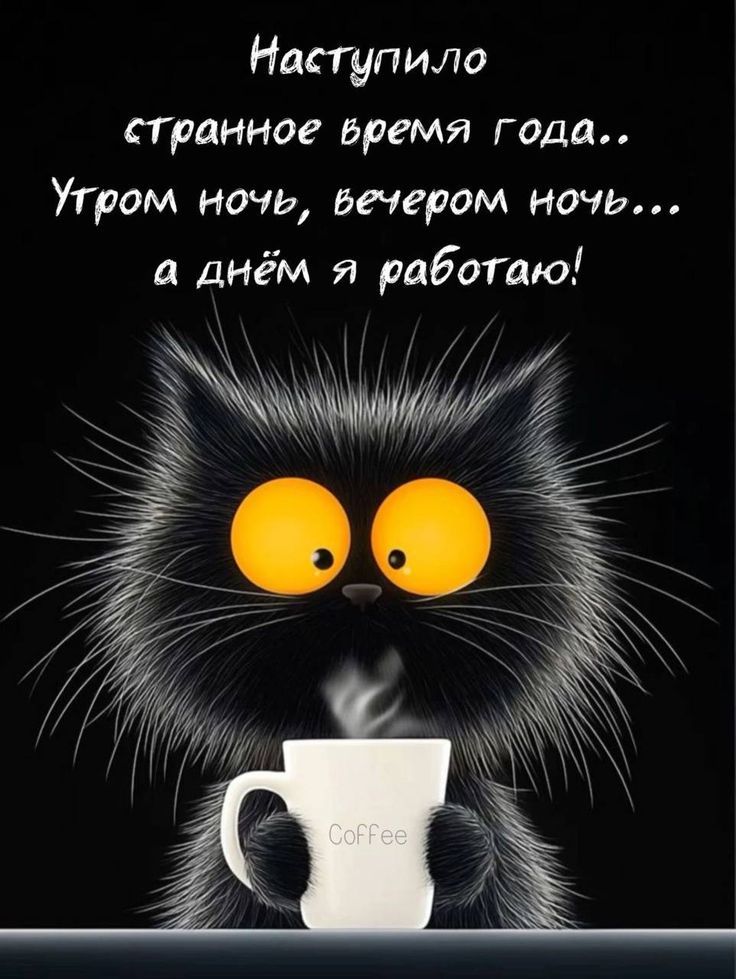 Наступило странное время года.. Утром ночь, вечером ночь... а днём я работаю!