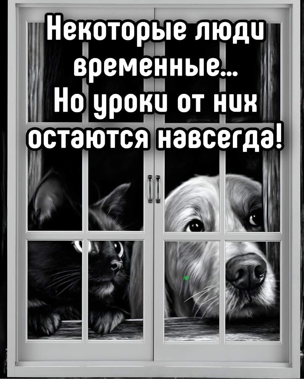 Некоторые люди временные... Но уроки от них остаются навсегда!