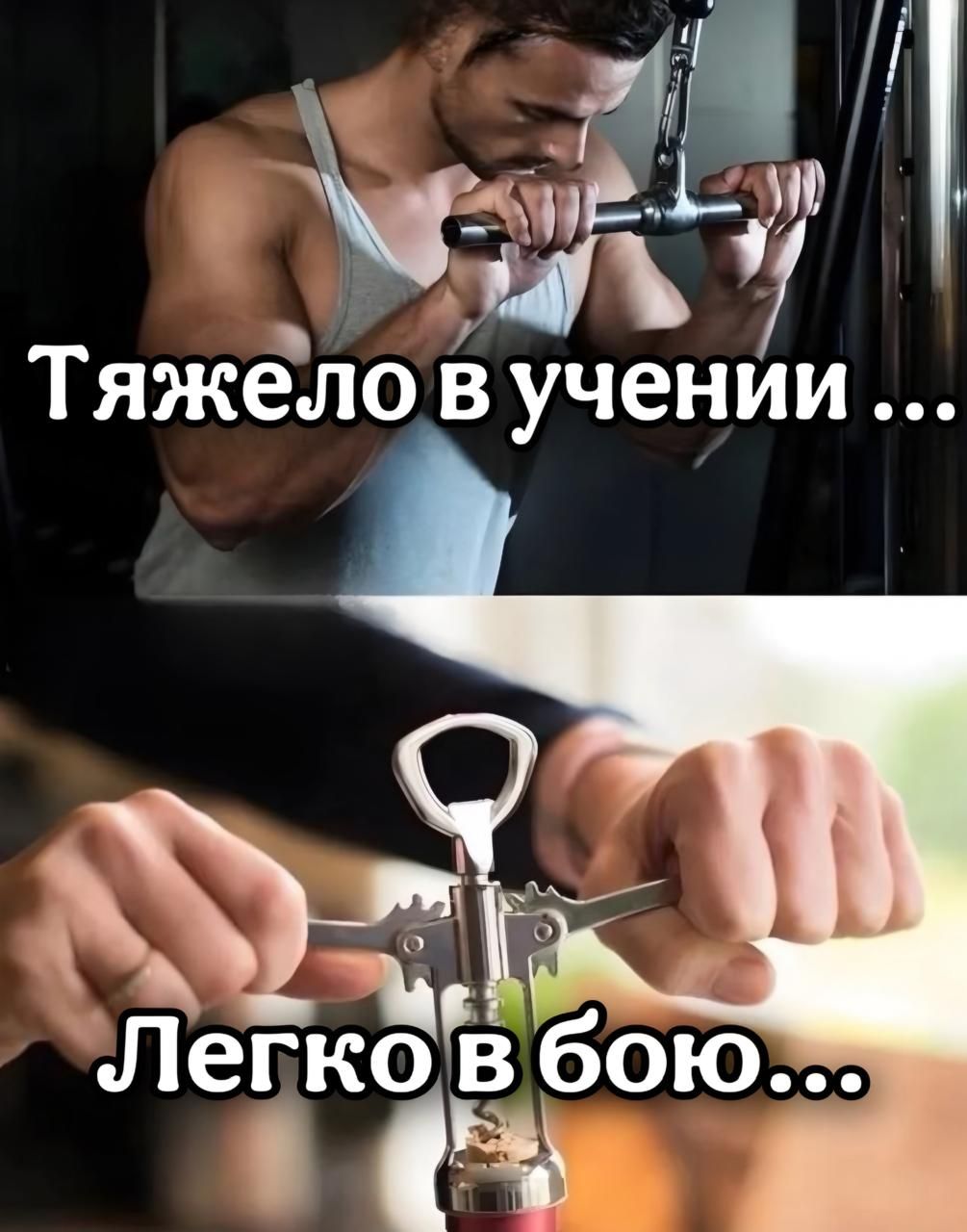 Тяжело в учении ... Легко в бою...