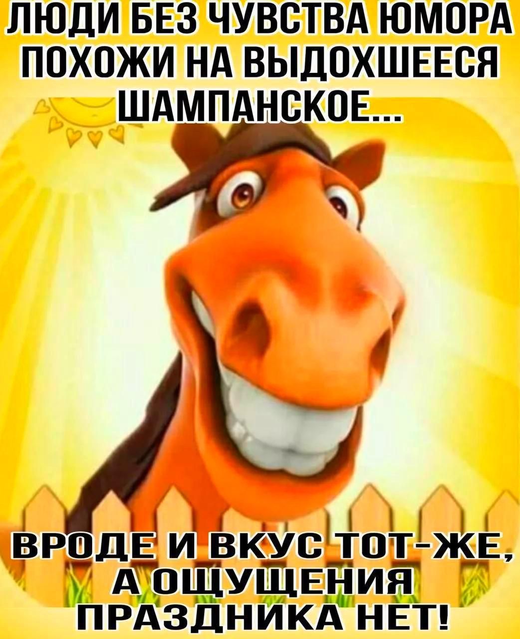 ЛЮДИ БЕЗ ЧУВСТВА ЮМОРА ПОХОЖИ НА ВЫДОХШЕЕСЯ ШАМПАНСКОЕ... ВРОДЕ И ВКУС ТОТ-ЖЕ, А ОЩУЩЕНИЯ ПРАЗДНИКА НЕТ!