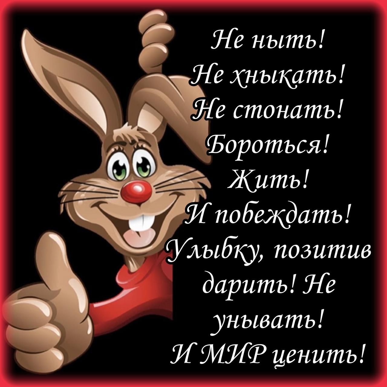 Не ныть! Не хныкать! Не стонать! Бороться! Жить! И победить! Улыбку, позитив дарить! Не унывать! И МИР ценить!