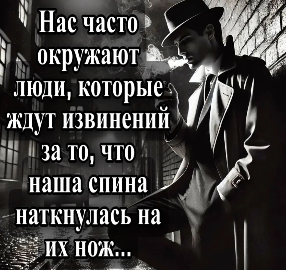 Нас часто окружают люди, которые ждут извинений за то, что наша спина наткнулась на их нож..