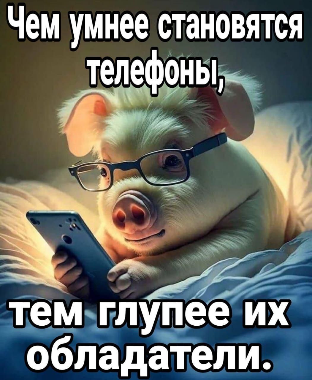 Чем умнее становятся телефоны, тем глупее их обладатели.