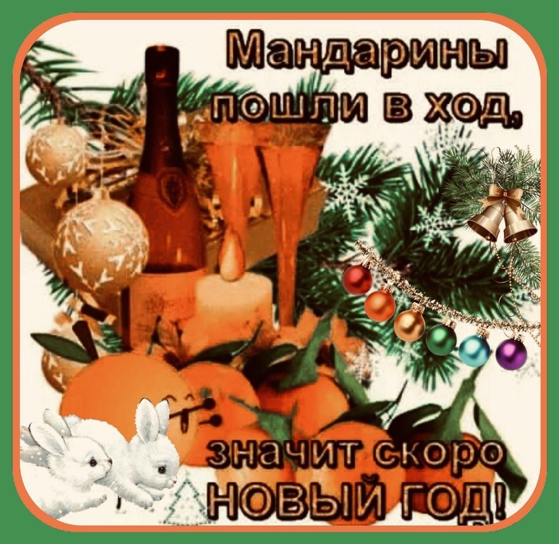 Мандарины пошли в ход, значит скоро НОВЫЙ ГОД!