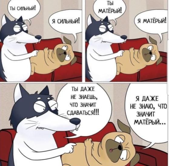 Ты сильный! Я сильный! Ты матерый! Я матерый! Ты даже не знаешь, что значит сдаваться!!! Я даже не знаю, что значит матерый...