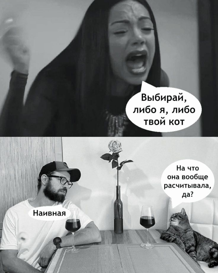 Выбирай, либо я, либо твой кот. Наивная. На что она вообще рассчитывала, да?
