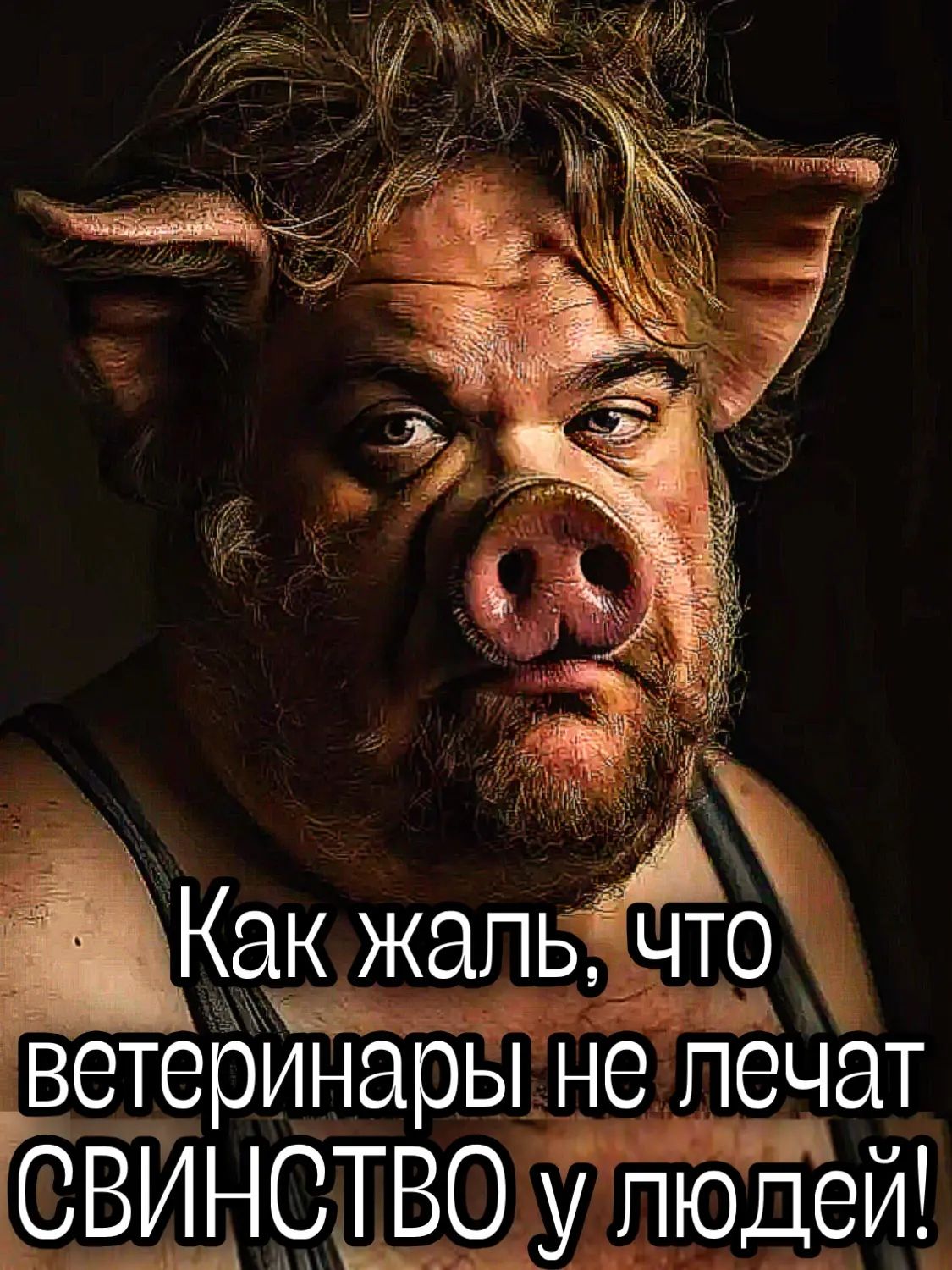 Как жаль, что ветеринары не лечат СВИНСТВО у людей!