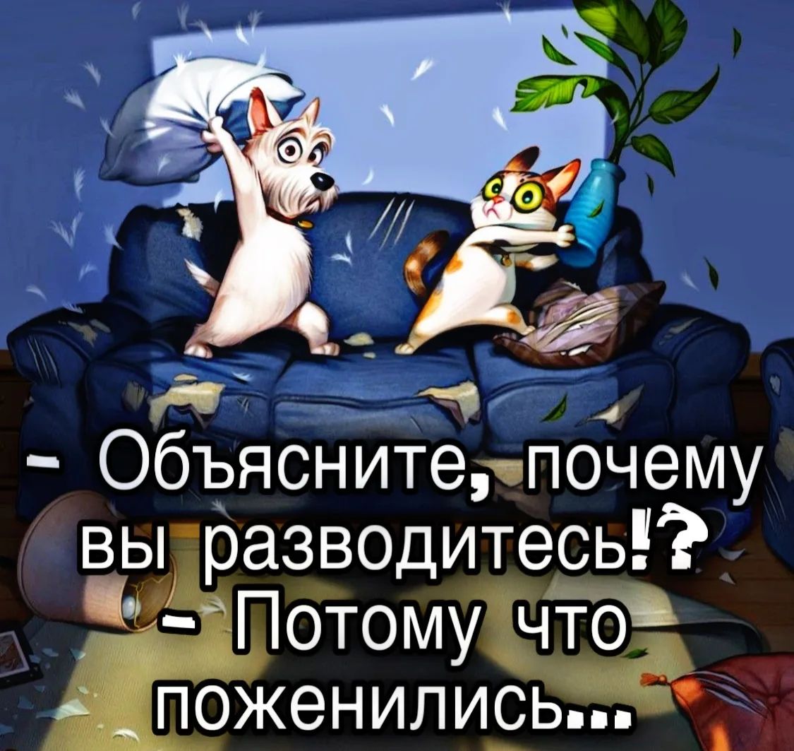 — Объясните, почему вы разводитесь? — Потому что поженились....