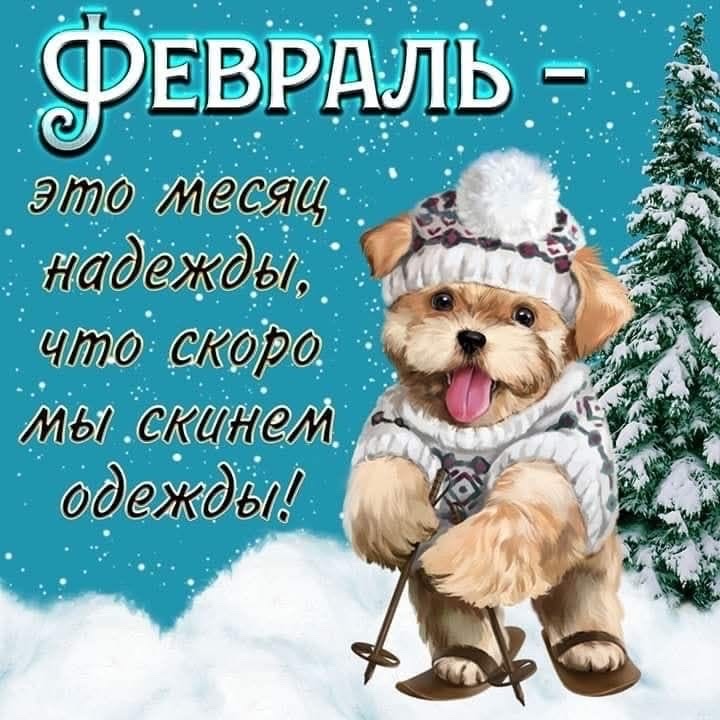 ФЕВРАЛЬ - это месяц надежды, что скоро мы скинем одежды!