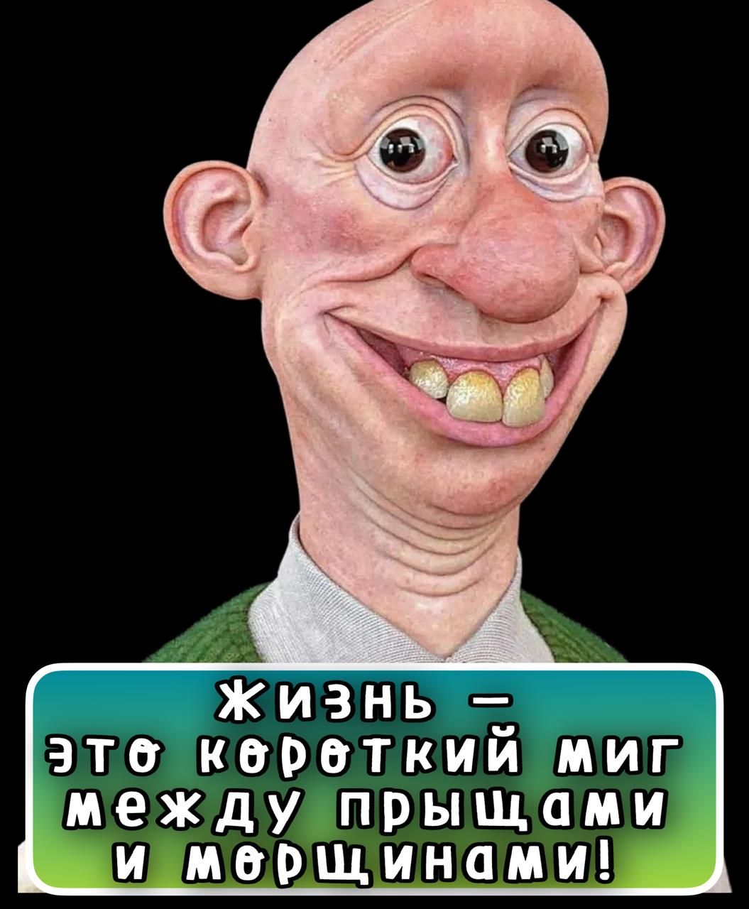 Жизнь — это короткий миг между прыщами и морщинами!