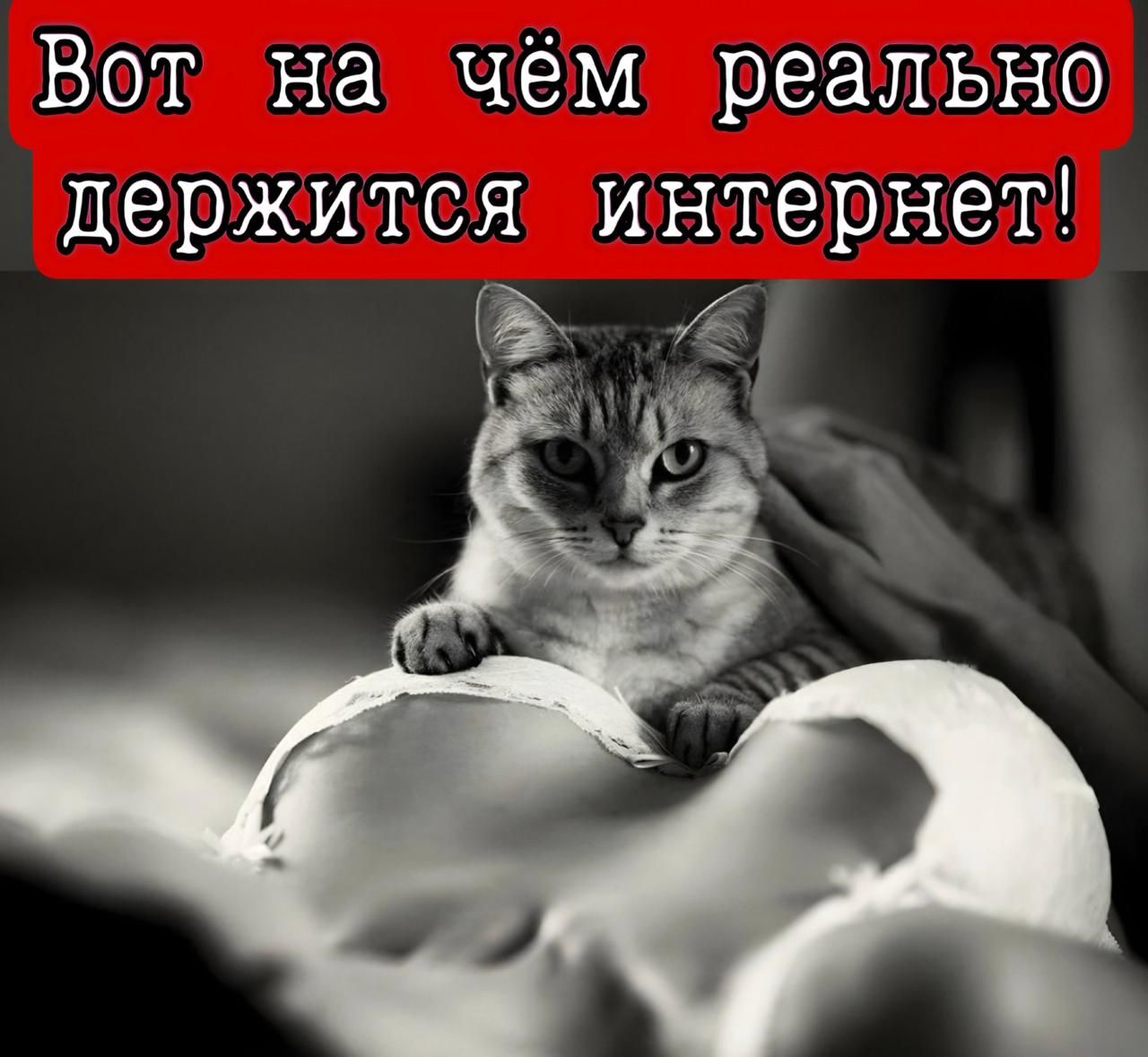 Вот на чём реально держится интернет!