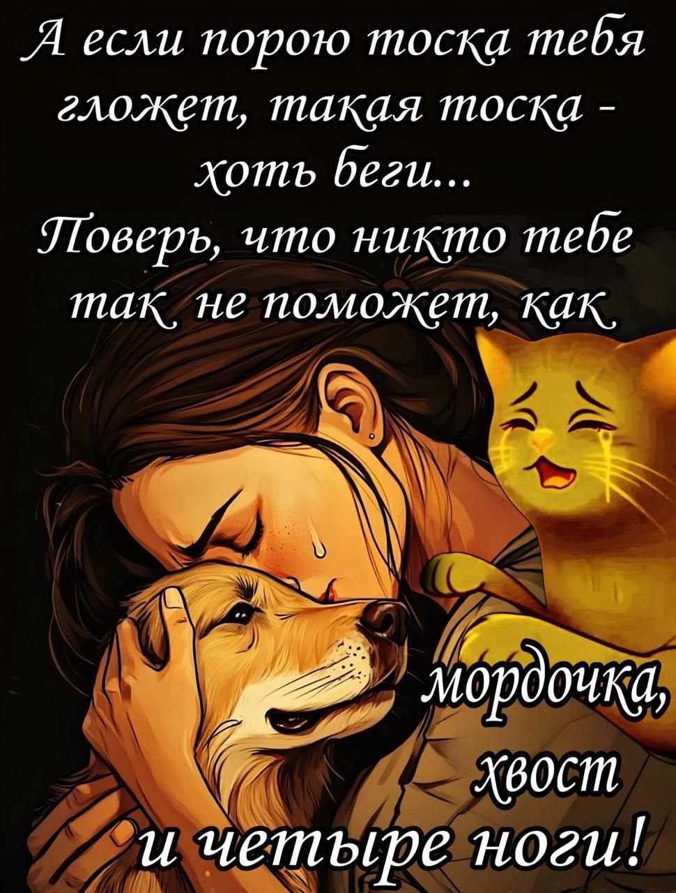 А если порою тоска тебя гложет, такая тоска - хоть беги... Поверь, что никому тебе так не поможет, как мордочка, хвост и четыре ноги!