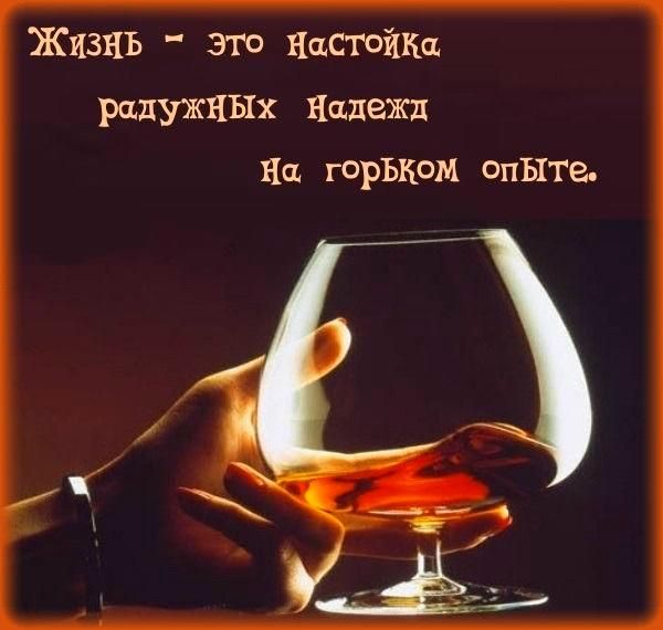 Жизнь - это Настойка радужных Надежд на горьком опыте.