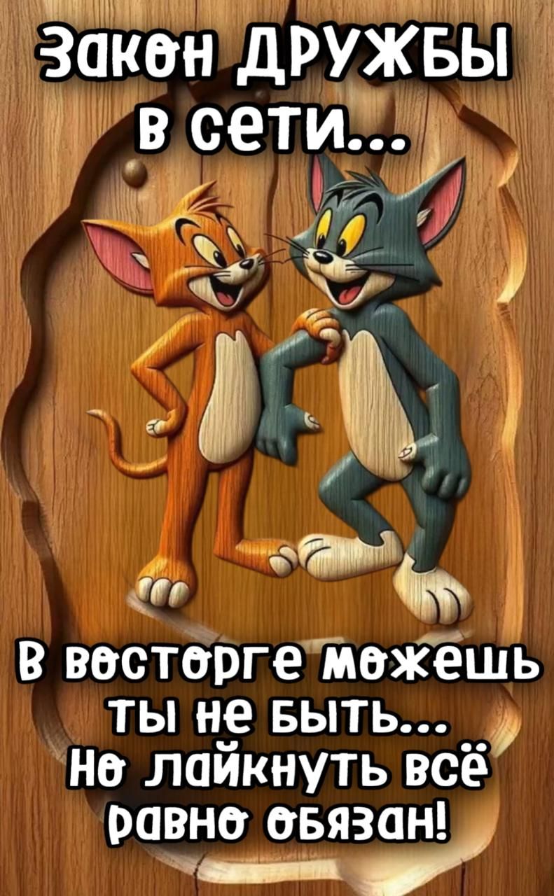 Закон дружбы в сети... В восторге можешь ты не быть... Но лайкнуть всё равно обязан!