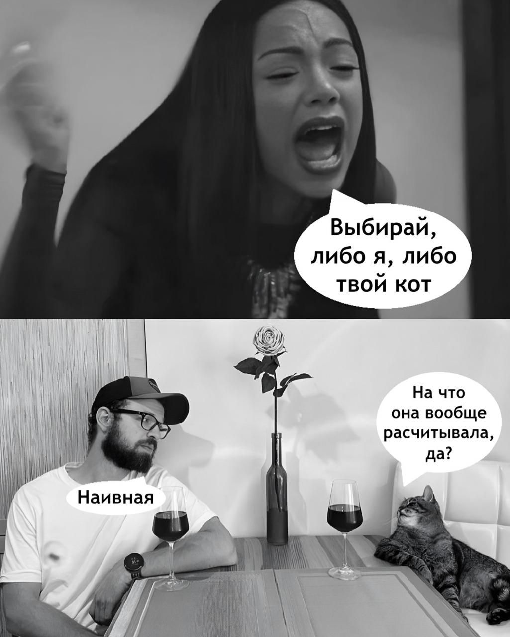 Выбирай, либо я, либо твой кот. Наивная. На что она вообще рассчитывала, да?