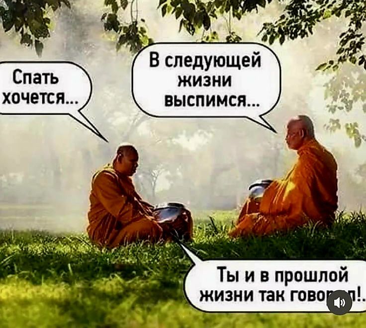 Спать хочется...
В следующей жизни выпимся...
Ты и в прошлой жизни так говори...