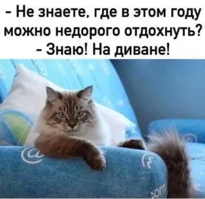 не знаете, где в этом году можно недорого отдохнуть?  Знаю! На диване!