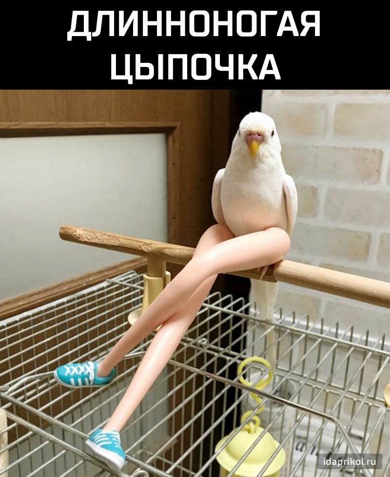 ГА ОК НЧ 00 Ь И ЛЦ Д