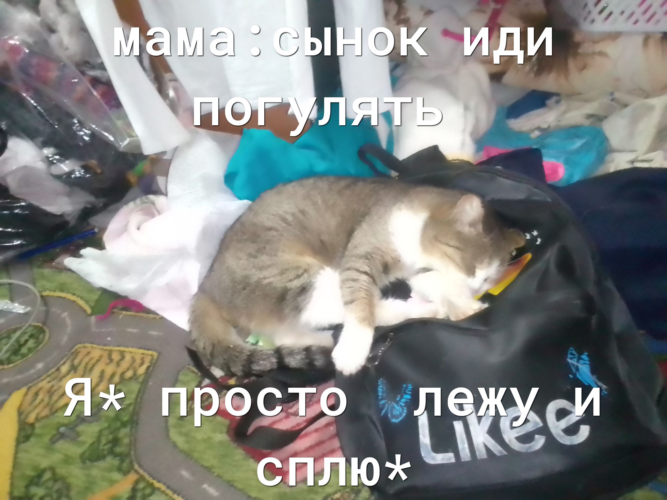 Ы  