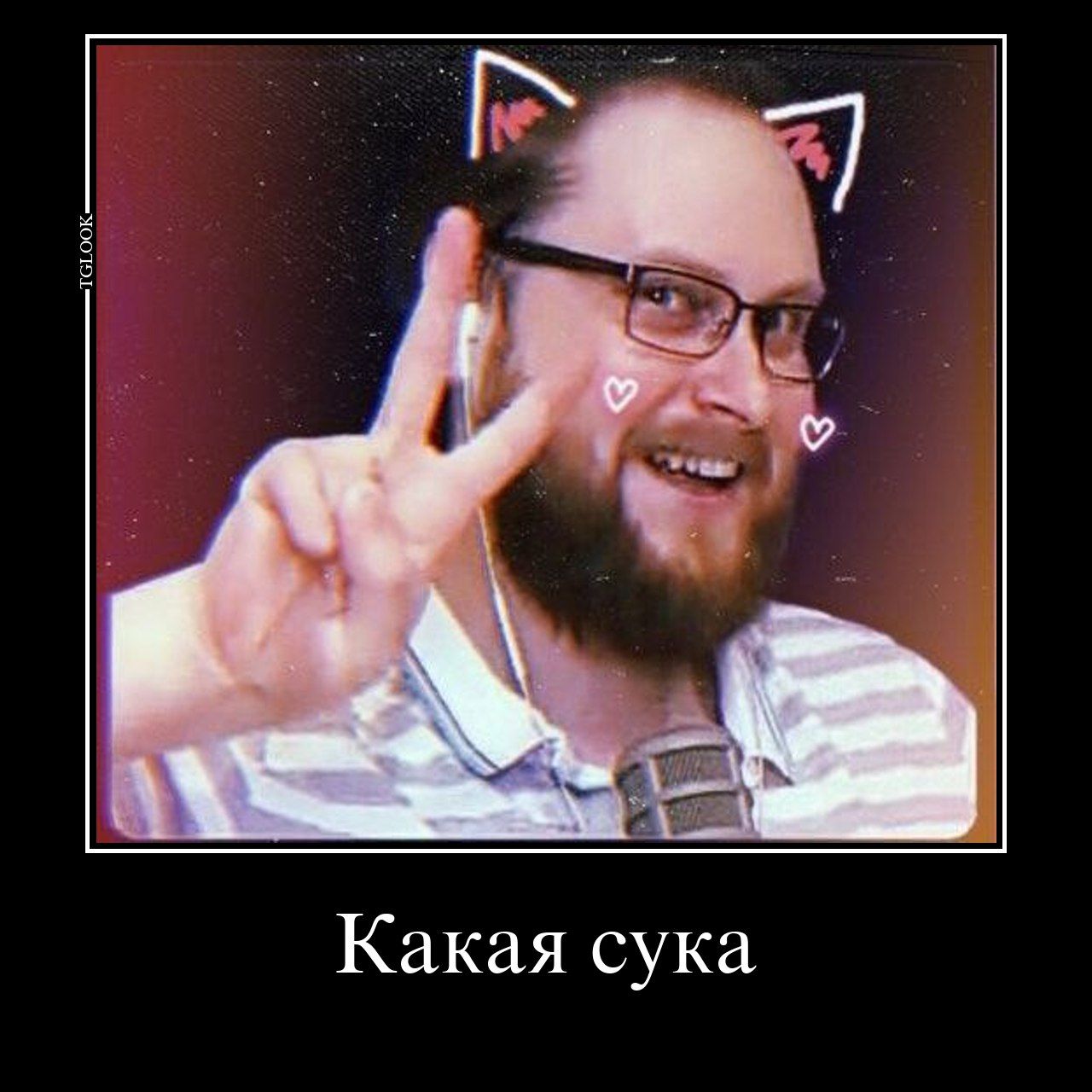 Какая сука