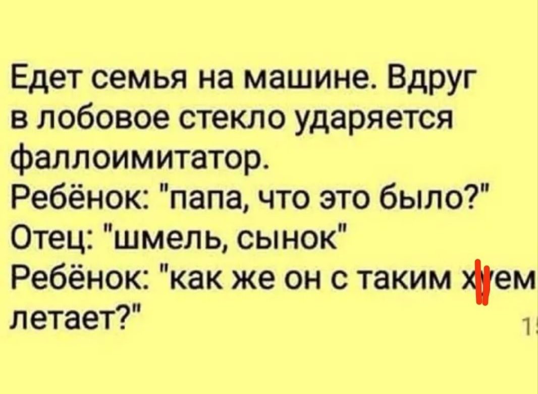 Едет семья на машине Вдруг в лобовое стекло ударяется фаллоимитатор Ребёнок папа что это было Отец шмель сынок Ребёнок как же он с таким іем летает 11