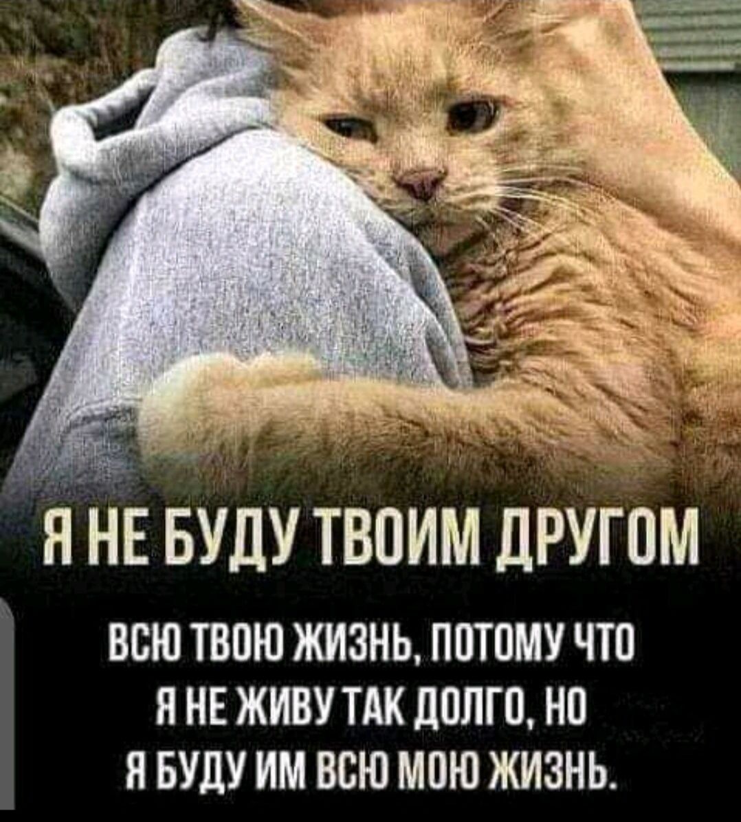 я НЕ В твоим другом ВСЮ ТВВЮ ЖИЗНЬ ППТПМУ ЧТП Я НЕ ЖИВУ ТАК ЦПЛГП Ш И БУДУ ИМ ВСЮ МПЮ ЖИЗНЬ