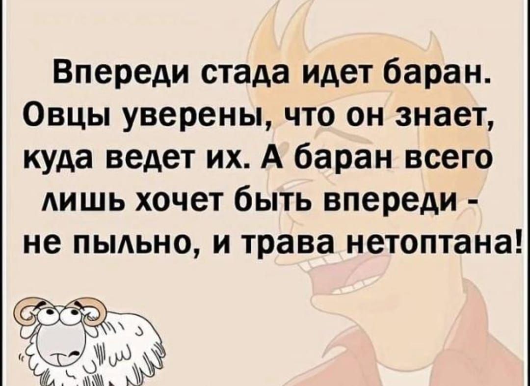 Впереди стада идет баран Овцы уверены что он знает куда ведет их А баран всего лишь хочет быть впереди не пыльно и трава нетоптана