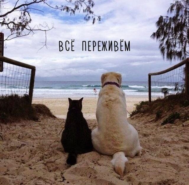 ВСЁ ПЕРЕЖИВЁМ