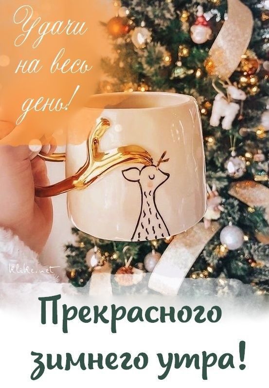Прекрасного димнего утра
