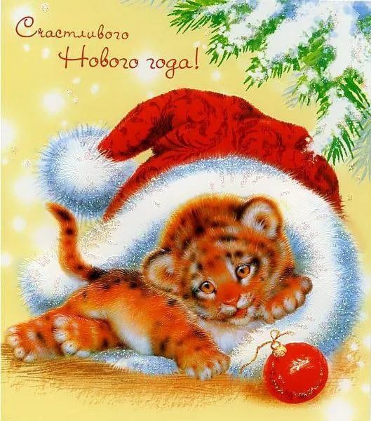 еіалшыёото 08020 20301