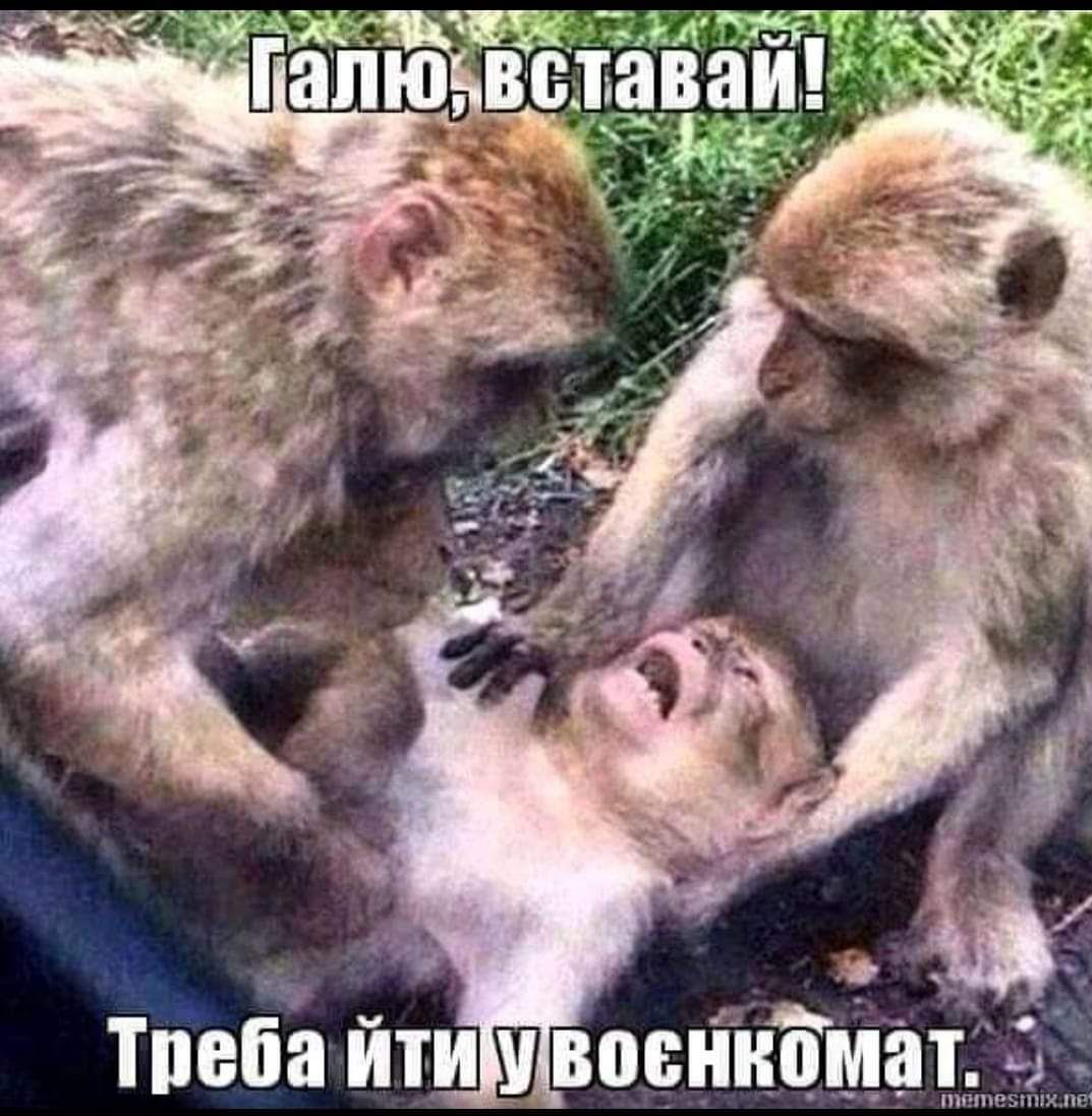 С , нко      ит! Треба