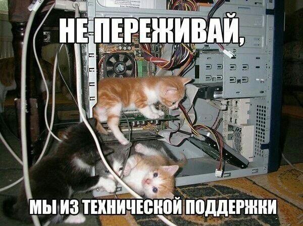 чыдъіушиичщнвиъппддігжни