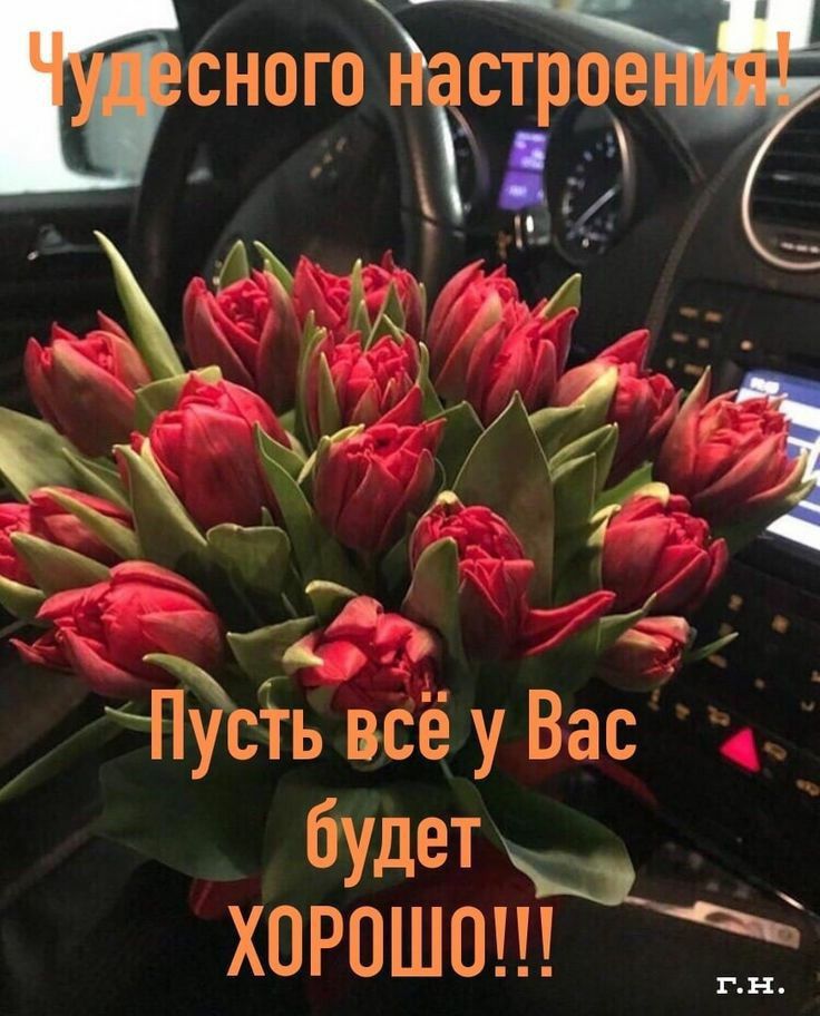 Вас усТь всё у ы г нм и Д 0 Х