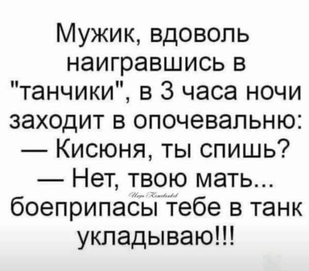 Мужик вдоволь наигравшись в танчики в 3 часа ночи захоцит в опочевальню Кисюня ты спишь Нет твою мать боеприпаовпебе в танк укладываю