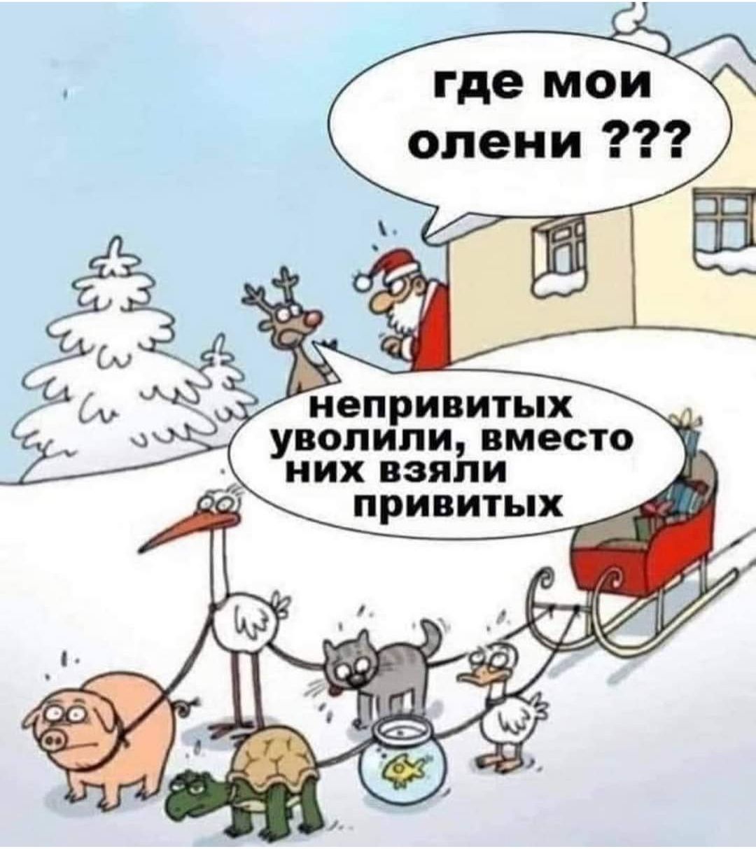 где мои непривитых уволили вместо них взяли привитых