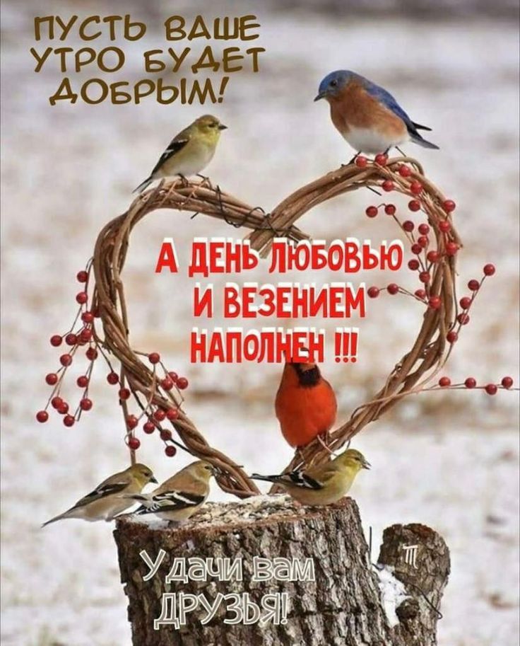 УТРО АЕ Т дов М