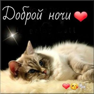 ЮодЪой наш 0