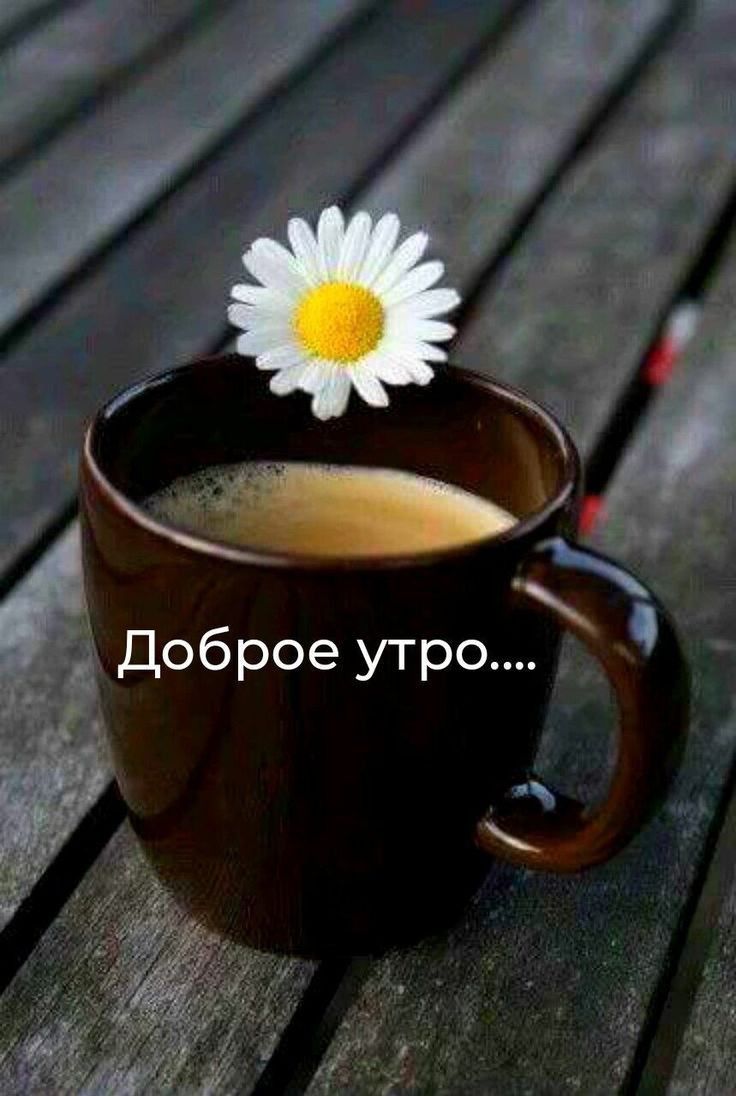 ;  доброе утро....