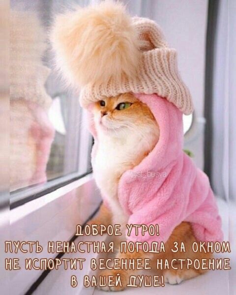 истовіідт ввогннвв НАСТРОЕНИЕ БЩЫ ДУШЕ