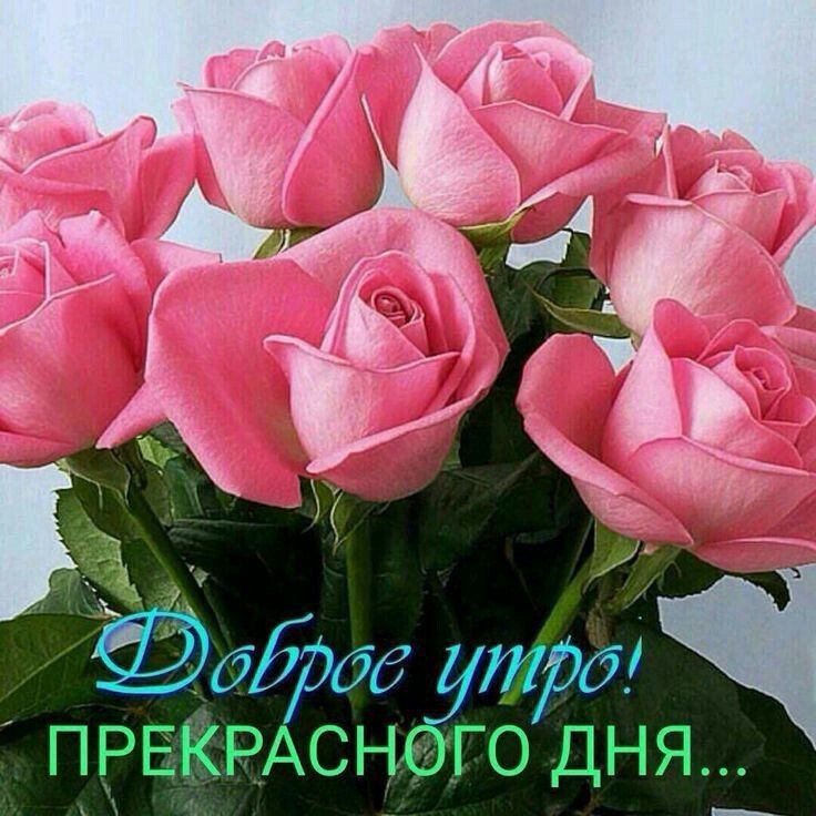 с ЁідБ3бб тра пввфквАснго дня _