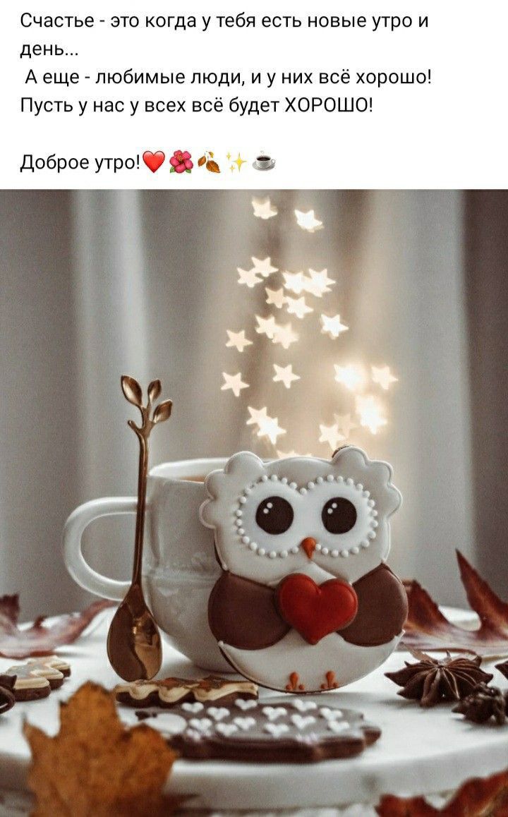 Счастье это когда у тебя есть новые утро и день А еще любимые люди и у них всё хорошо Пусть у нас у всех всё будет ХОРОШО Доброе утроФ Зг