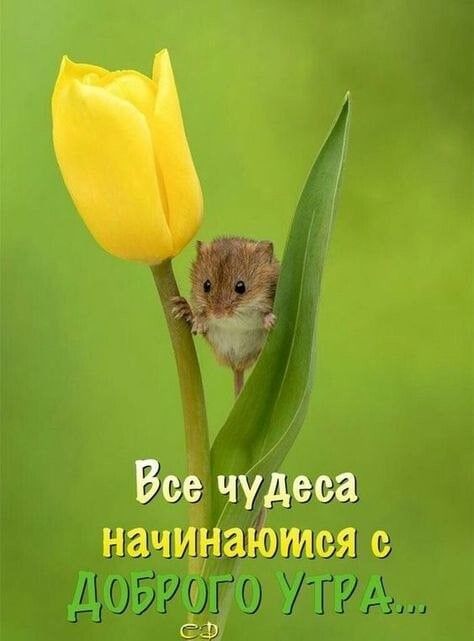 !   ,.ё:  все чудеса наийнаются с нрг  ,  га ее