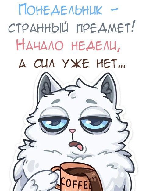 Понедельник  странный предмет наачало недели, а сил уже нёет,..